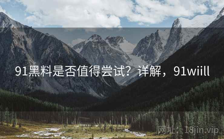 91黑料是否值得尝试？详解，91wiill