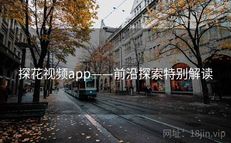 探花视频app——前沿探索特别解读