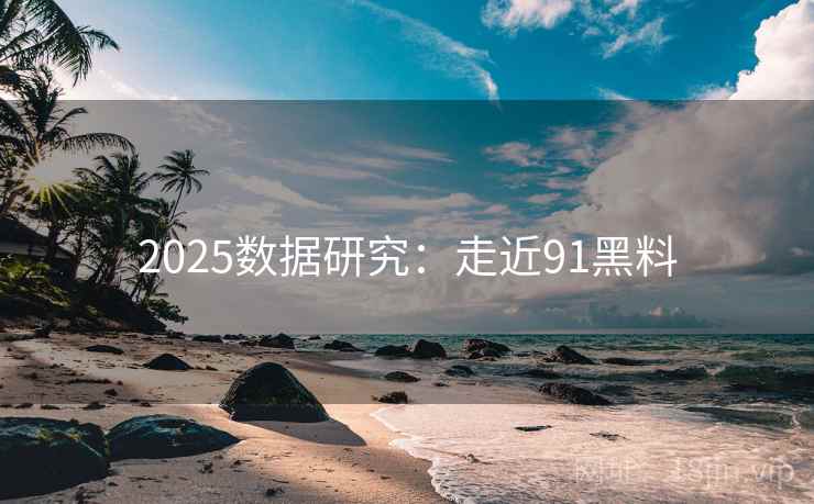 2025数据研究：走近91黑料