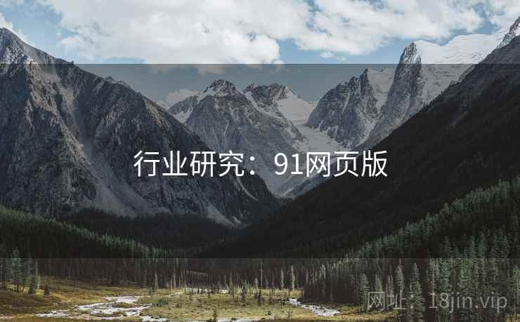 行业研究：91网页版