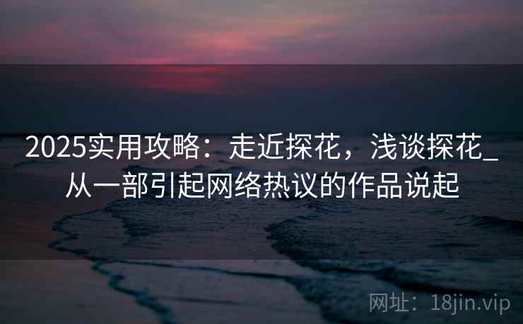 2025实用攻略：走近探花，浅谈探花_从一部引起网络热议的作品说起