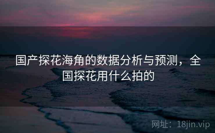 国产探花海角的数据分析与预测，全国探花用什么拍的