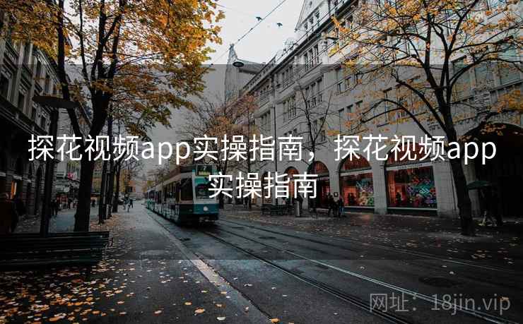 探花视频app实操指南,探花视频app实操指南 探花视频app实操指南,探花视频app实操指南