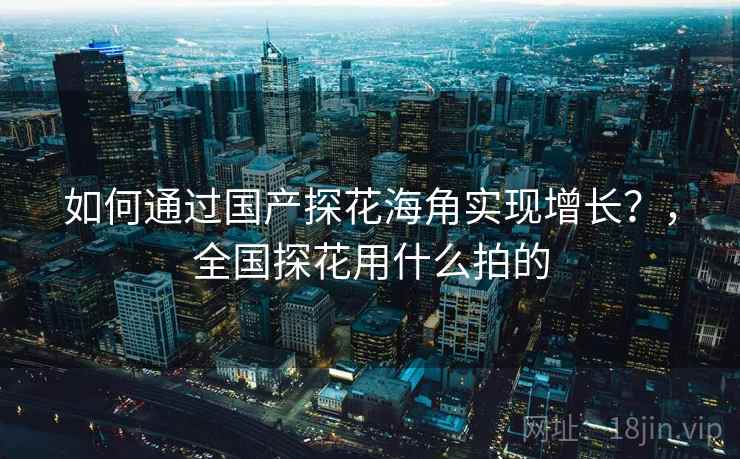 如何通过国产探花海角实现增长？，全国探花用什么拍的