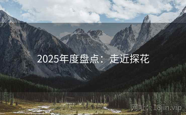 2025年度盘点:走近探花 2025年度盘点:走近探花