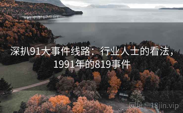 深扒91大事件线路：行业人士的看法，1991年的819事件