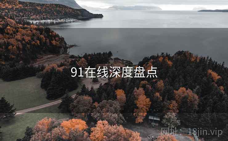 91在线深度盘点