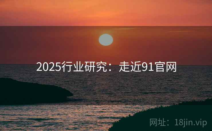 2025行业研究:走近91官网 2025行业研究:走近91官网